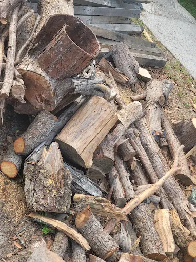 TREE-BE-GONE.COM – Professional Tree Removal & Land Clearing in Middleburg, FL