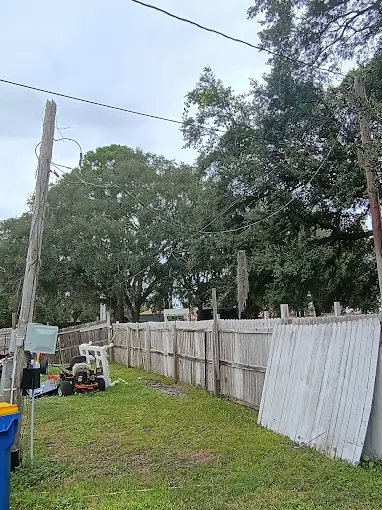 TREE-BE-GONE.COM – Professional Tree Removal & Land Clearing in Middleburg, FL